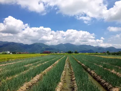 下湖山