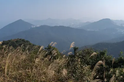 Tung Yeung Shan (東洋山 Tung Yeung Shan)