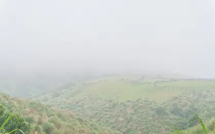 Mt. Qingtiangang East Peak (擎天崗山東峰)