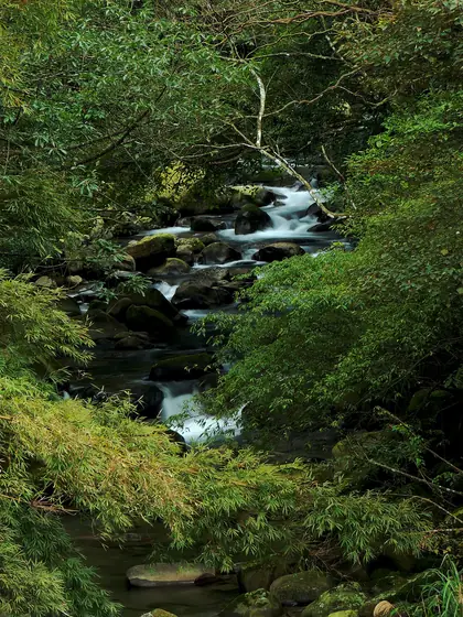 Zhulunshan (竹崙山)