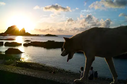 飯山