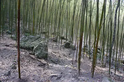 Jiabaotaishan (佳保台山)