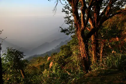 Zhukengshan (竹坑山)