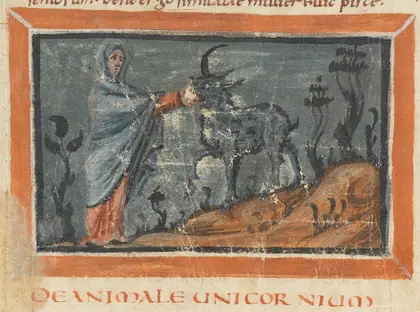 Unicorn