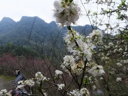 Hengpingbeishan (橫屏背山)