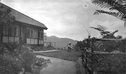 Bukit Kutu