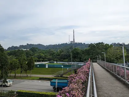 Bukit Timah Hill