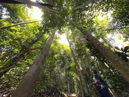 Bukit Wawasan