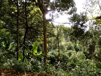 Mount Kun On (doi saket)