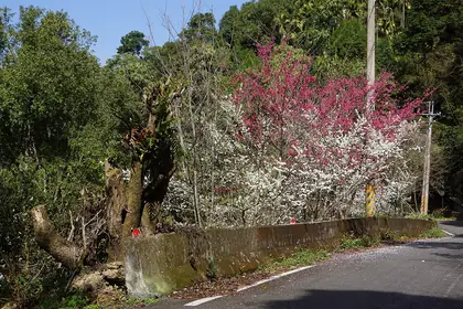 Yudashan (玉打山)