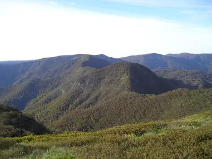 Mount Speculation