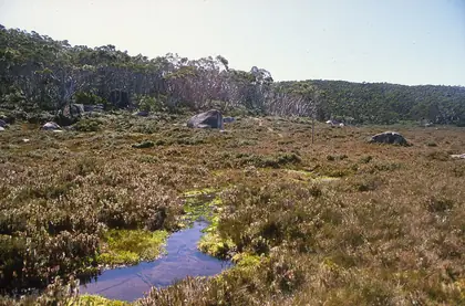 Mount Baw Baw