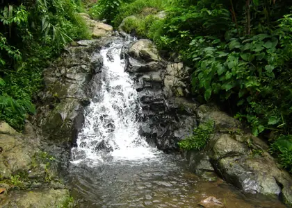 Gunung Palasari