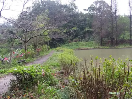 Yiqueshan (義確山)
