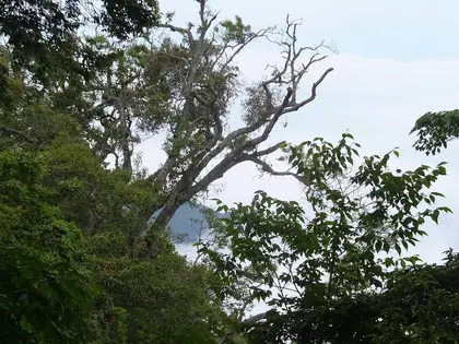 Shaolaishan South Peak (稍來山南峰)