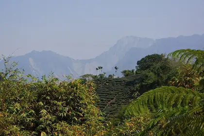 Shengguanyinfeng (聖觀音峰)