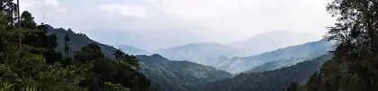 Doi Phu Kha (ดอยภูคา)