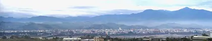 新社
