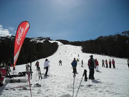 Little Buller