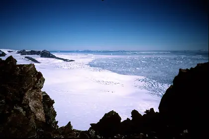 View Point
