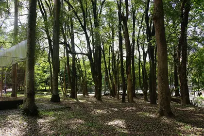 水里山