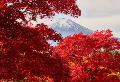 Mount Fuji (富士山)