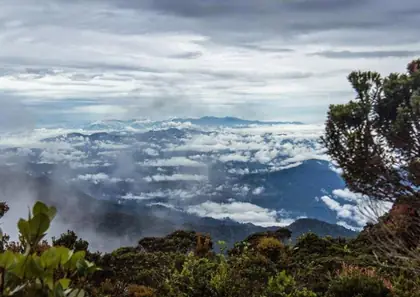 Bukit Raya