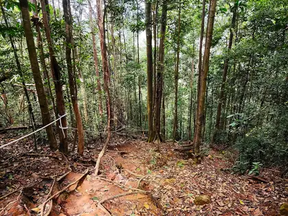Gunung Lambak (Utara)