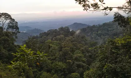 Gunung Pulai