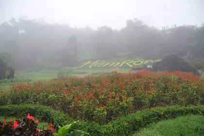 Núi Hàm Rồng