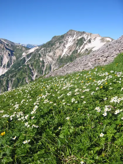 Mt. Ko-Renge (小蓮華山)