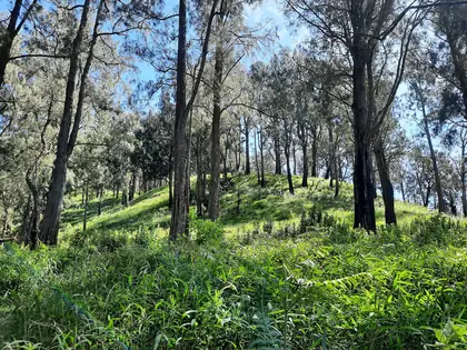 Gunung Arjuno