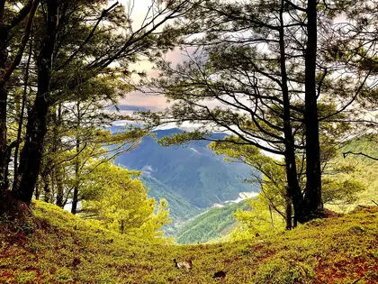 Lulinshan (鹿林山)