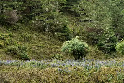 Kaxipananshanbeifeng (喀西帕南山北峰)