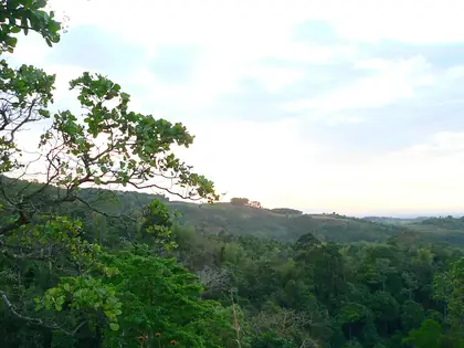 Kanlaon