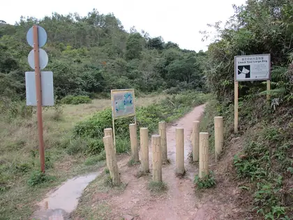 Fan Kei Tok (芬箕托 Fan Kei Tok)