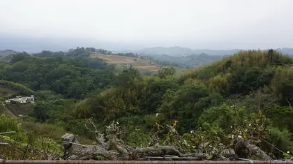 Xiaolilinfngshan (校粟林山)