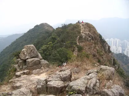 Lion Head (獅子頭 Lion Head)