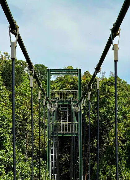 Bukit Kallang
