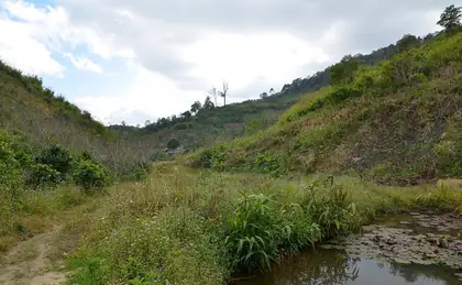 Doi Wiang Pha