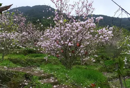 Mt. Xiangtianchi (向天池山)