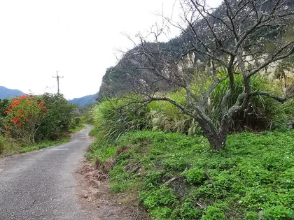 Biemaoshan (別毛山)