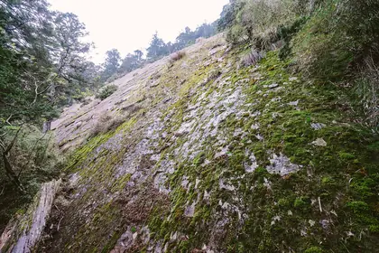 Yushan West Peak (玉山西峰)