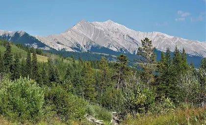 Mount Head