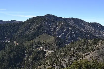 Mount Williams