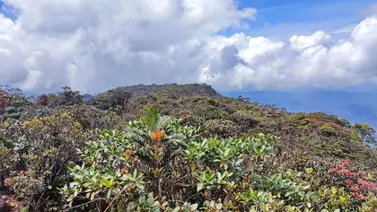 Mount Murud