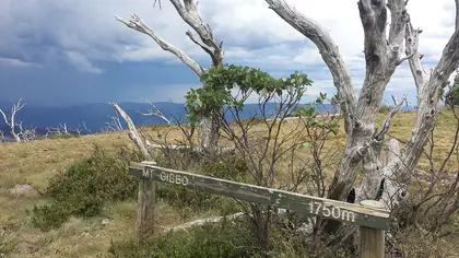 Mount Gibbo