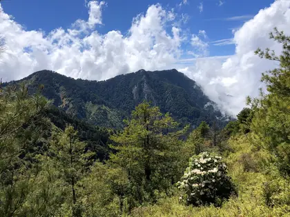 Pipidashan (匹匹達山)
