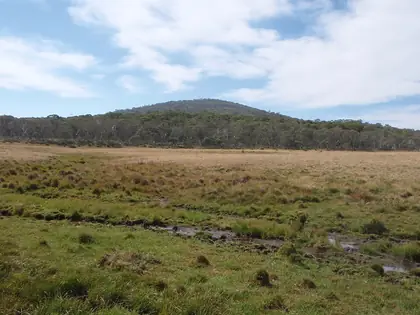 Peppercorn Hill