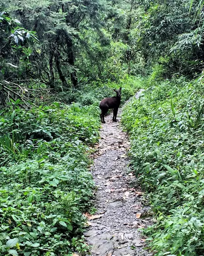 西大武山西北峰